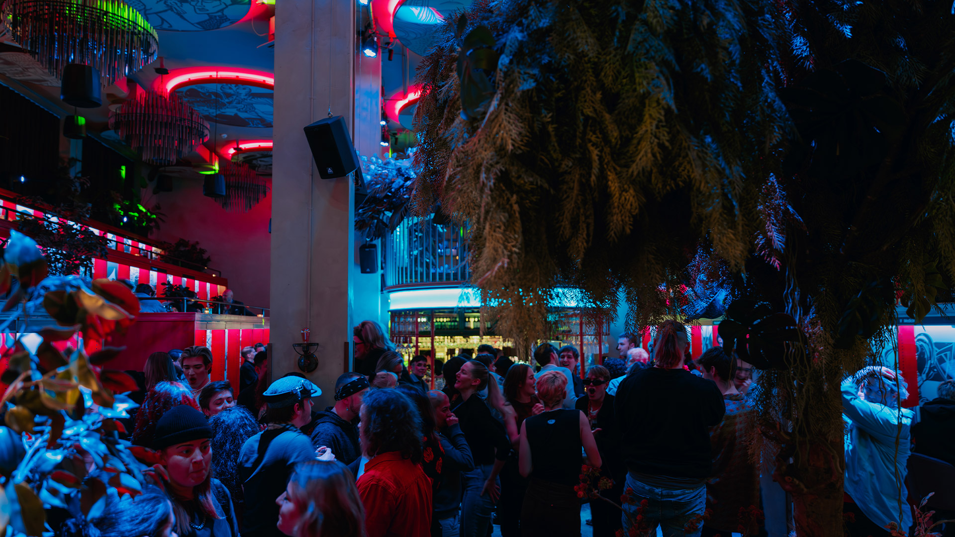 Nu öppet till 03.00 varje helg!